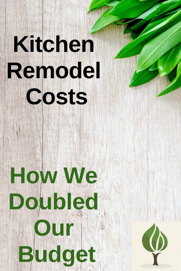 Kitchen Remodel Costs
