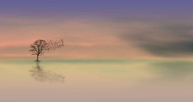 Photo of birds flying from a tree as a sign of semi-retirement