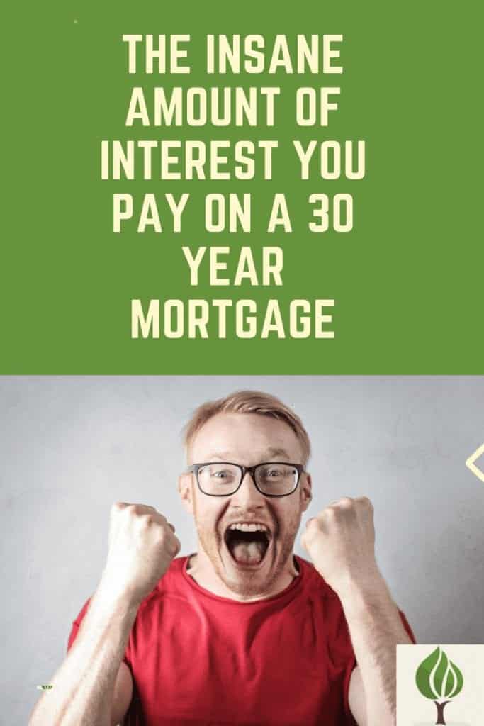 insane amount of interest paid on 30 year mortgage pinterest pin