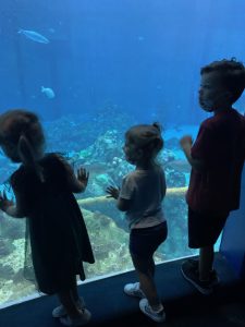 Photo of our kids (and niece) at the aquarium at Epcot