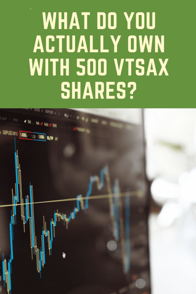 Pinterest image with stock chart asking what do you actually own with 500 vtsax shares