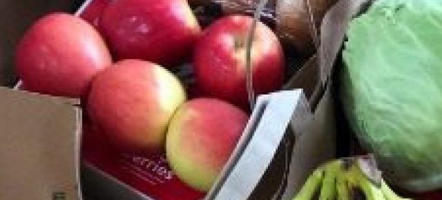 cropped-fig-28-01-2022_03-41-33-1.jpg