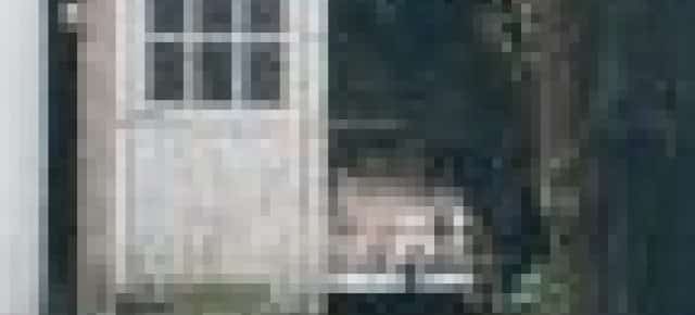 cropped-cropped-fig-04-02-2022_13-27-27-1.jpg