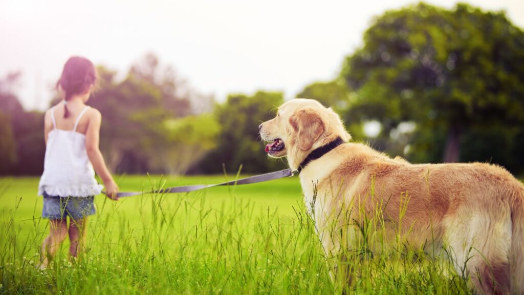 Little kid walking dog